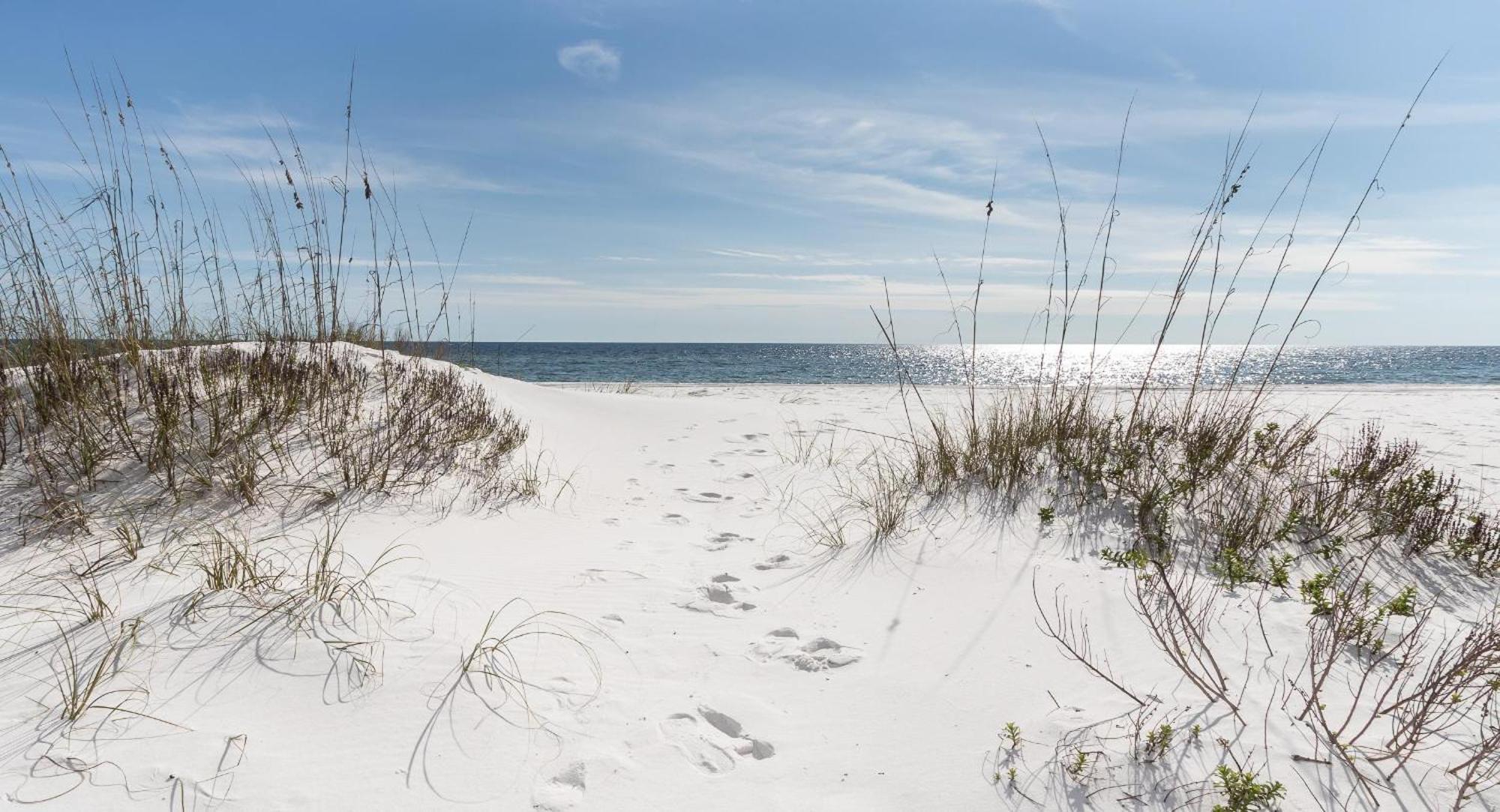 Nautilus 2408 Gulf View 2 Bedroom 4Th Floor Free Beach Service Fort Walton Beach Extérieur photo