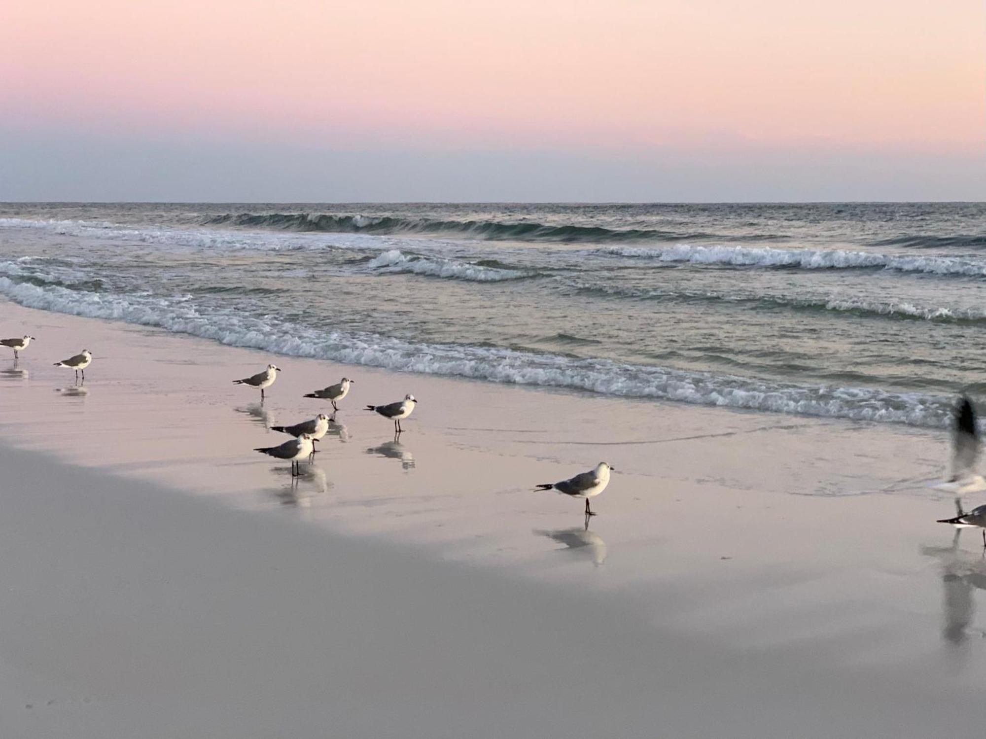 Nautilus 2408 Gulf View 2 Bedroom 4Th Floor Free Beach Service Fort Walton Beach Extérieur photo