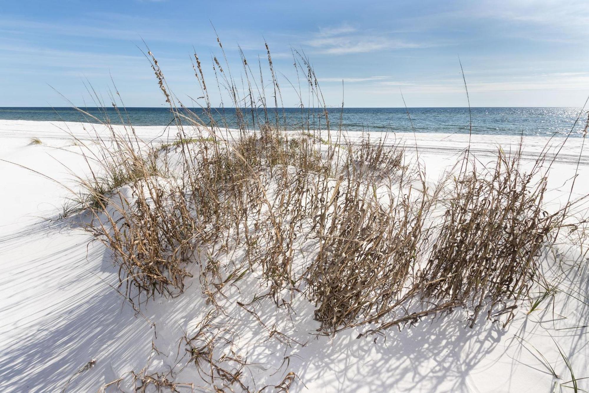 Nautilus 2408 Gulf View 2 Bedroom 4Th Floor Free Beach Service Fort Walton Beach Extérieur photo